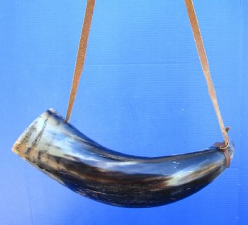 Buy this 18 inch Polished Buffalo blowing horn with leather strap for $25