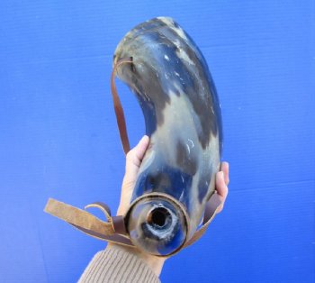 Buy this 18 inch Polished Buffalo blowing horn with leather strap for $25