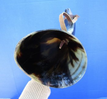 Buy this 18 inch Polished Buffalo blowing horn with leather strap for $25