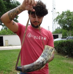 Buy this 17 inch Polished Buffalo blowing horn with leather strap for $20