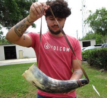Buy this 17 inch Polished Buffalo blowing horn with leather strap for $20