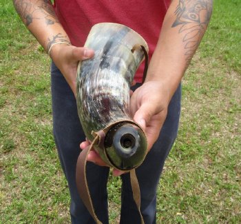 Buy this 17 inch Polished Buffalo blowing horn with leather strap for $20