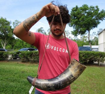 Buy this 17 inch Polished Buffalo blowing horn with leather strap for $20