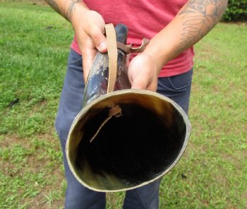 Buy this 17 inch Polished Buffalo blowing horn with leather strap for $20