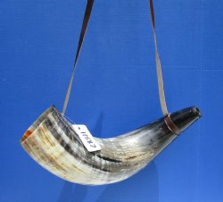 Buy this 22 inch Polished Buffalo blowing horn with leather strap for $25
