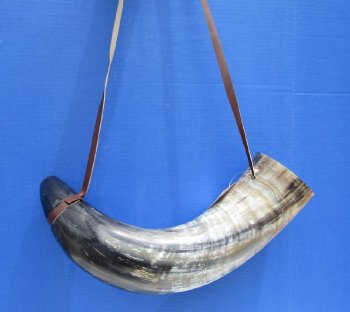 Buy this 22 inch Polished Buffalo blowing horn with leather strap for $25