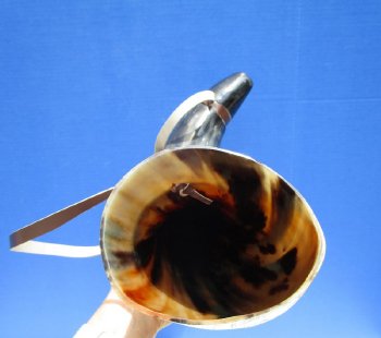 Buy this 22 inch Polished Buffalo blowing horn with leather strap for $25