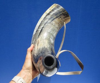 Buy this 22 inch Polished Buffalo blowing horn with leather strap for $25