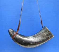 Buy this 21 inch Polished Buffalo blowing horn with leather strap for $25