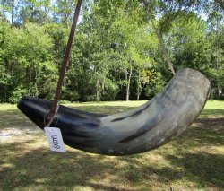 Buy this 25 inch Polished Buffalo blowing horn with leather strap for $30