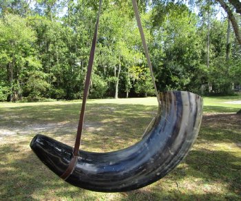 Buy this 25 inch Polished Buffalo blowing horn with leather strap for $30