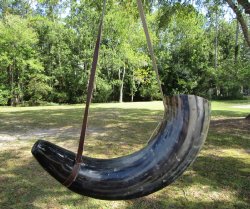 Buy this 25 inch Polished Buffalo blowing horn with leather strap for $30