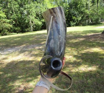 Buy this 25 inch Polished Buffalo blowing horn with leather strap for $30