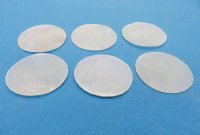 Wholesale Capiz Shells in bulk 2-1/2 inches pearlized flat shells - 500 pcs @ $.14 each