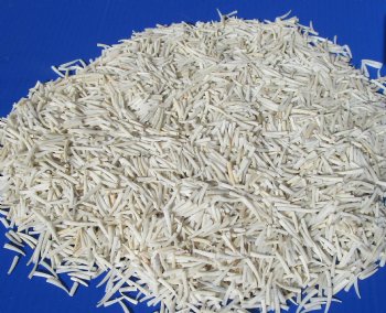 Wholesale Dentalium Octangulatum Tusk Shells for shell crafts - 1/2 inch to 1-1/4 inch -10 kilo bags @ $8.00/kilo