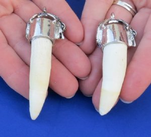 Alligator Tooth Pendants, Keychains