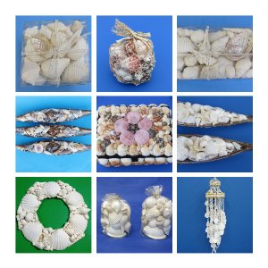 Beach Wedding Seashells, Starfish, Favors