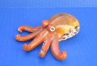 Painted Tiger Cowrie Octopus Novelty 3-1/2 inches long - 12 pcs @ $2.50 each; 36 pcs @ $2.25 each