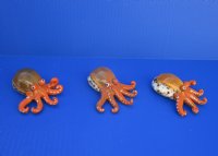 Painted Tiger Cowrie Octopus Novelty 3-1/2 inches long - 12 pcs @ $2.50 each; 36 pcs @ $2.25 each