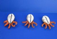Painted Tiger Cowrie Octopus Novelty 3-1/2 inches long - 12 pcs @ $2.50 each; 36 pcs @ $2.25 each