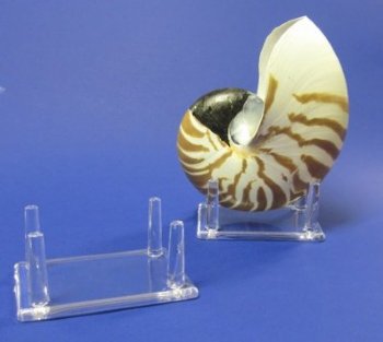 4 leg 3-1/4 X 2-1/2 inches Plastic Display Stands, Shell Stands Wholesale - 12 pcs @ $1.40 each; 48 pcs @ $.1.25 each 