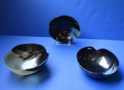 Wholesale Decorative Heart Shaped Buffalo Horn Bowls 6 inches - 2 pcs @ $13.75 each; 6 pcs @ $12.00 each