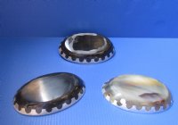 Wholesale Polished buffalo horn Oval bowl/tray with a decorative aluminum edge 7" long by 4-1/2" wide" -  2 pcs @ $15.75 each; 6 pcs @ $13.75 each.  