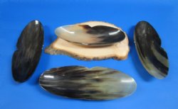 11 inches Wholesale Boat Shaped Buffalo Horn Bowls with "V" shape indentation on both sides - 2 pcs @ $12.50 each; 6 pcs @ $11.00 each