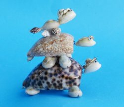 Bobbing heads 3 Rider Cowry Seashell Turtle Novelties Wholesale - 10 pcs @ $1.30 each