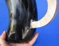 Wholesale Small Polished Buffalo Horn Beer Pitcher with Brass Trim and a Rounded Wooden handle 5-1/2 to 6-3/4 inches tall - $26.00 each; Packed: 6 pcs @ $23.00 each