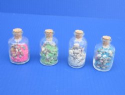 2 oz Sand and Shells Souvenir Bottles Wholesale- Case of 192 @ .40 each