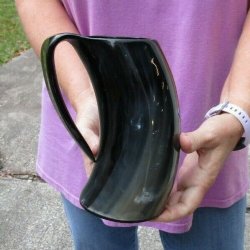 Polished buffalo horn mug 7 inches tall for $29