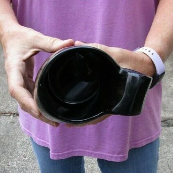 Polished Buffalo Horn Mug, Ox Horn Mug 7 inches tall. Available for purchase for $29