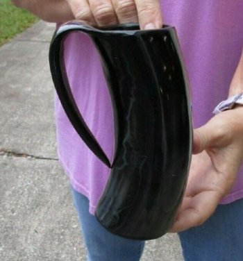 Polished Ox Horn Mug, Cow Horn Mug 6 inches tall. Available to Purchase for $24