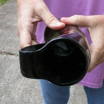 Polished Ox Horn Mug, Cow Horn Mug 6 inches tall. Available to Purchase for $24