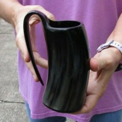 Polished buffalo horn mug 5 inches tall for $18