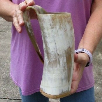 Polished 8" Ox Horn Mug, Cow Horn Mug with wood base/bottom. Buy today for $36