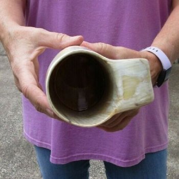 Polished 8" Buffalo Horn Mug, Ox Horn Mug with wood base/bottom. Buy now for $36