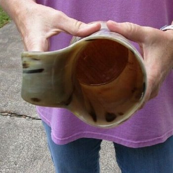Polished 8" Buffalo Horn Mug, Ox Horn Mug with wood base/bottom. Available today for $36