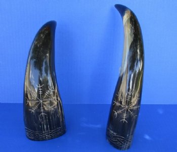 Wholesale Polished Cattle and Buffalo Horn with a Carved Sunburst Symbols - 10 inches to 17 inches  - 2 pcs @ $14.50 each; 8 pcs @ $13.00 each