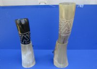 Wholesale Viking Drinking horns with a Decorative Carved Design and horn stand (Bubalus, bubalis) 13-1/4 inch to 14-1/2 inch - Packed: 2 pcs @ $17.50 each; Packed: 8 pcs @ $15.50 each (You will receive one similar to the picture)