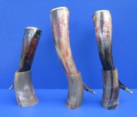 Wholesale Viking Drinking horns with Engraved Red colored Wolf Design, Brass trim, gold colored finial tip and horn stand (Bubalus, bubalis) 12-1/2 inch to 15 inch - Packed: 2 pcs @ $24.00 each; Packed: 6 pcs @ $21.00 each