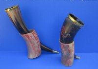 Wholesale Viking Drinking horns with Engraved Red colored Wolf Design, Brass trim, gold colored finial tip and horn stand (Bubalus, bubalis) 12-1/2 inch to 15 inch - Packed: 2 pcs @ $24.00 each; Packed: 6 pcs @ $21.00 each