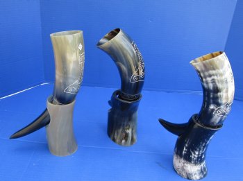 Wholesale Decorative Carved Cattle/Cow Drinking horns and Horn stand 11 to 13 inch - 2 pcs @ $16.50 each; 8 pcs @ $14.85 each