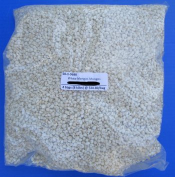 Wholesale White Mongo Shells 1/4" - 2 kilo bag @ $32/Bag