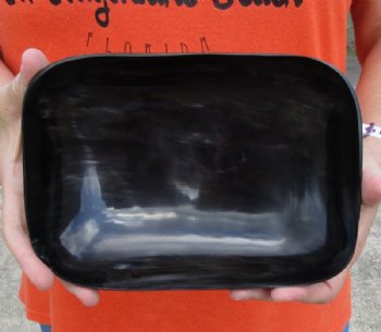 Rectangular Polished Buffalo Horn Tray, Cow Horn Tray 8-1/2 inches. Buy now for $17.00