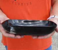 Rectangular Polished Buffalo Horn Tray, Cow Horn Tray 8-1/2 inches. Buy now for $17.00