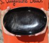 Oval Shaped Polished Buffalo Horn Bowl for sale 7-1/4 inches - You are buying the Buffalo Horn Bowl pictured for $17.00