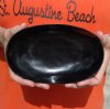 Oval Shaped Polished Buffalo Horn Bowl for sale 7-1/2 inches - You are buying the Buffalo Horn Bowl pictured for $17.00