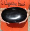 Oval Shaped Polished Buffalo Horn Bowl for sale 7-1/2 inches - You are buying the Buffalo Horn Bowl pictured for $17.00